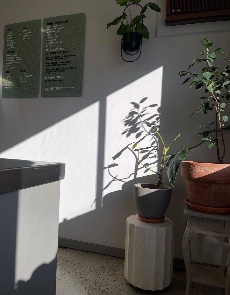 Afternoon light across the menu board and plants in the cafe