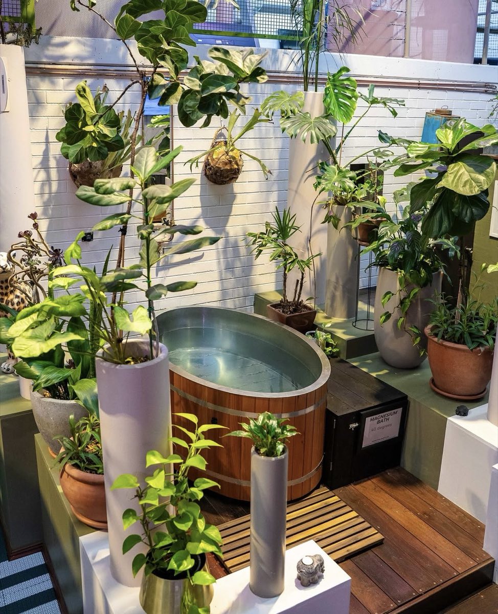 Timber bath among plants in the recovery garden