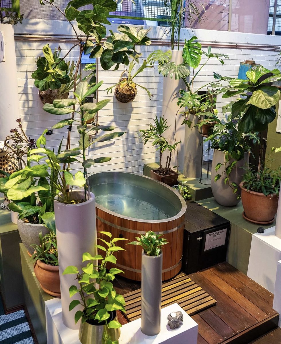 Cedar-clad cold plunge surrounded by potted plants